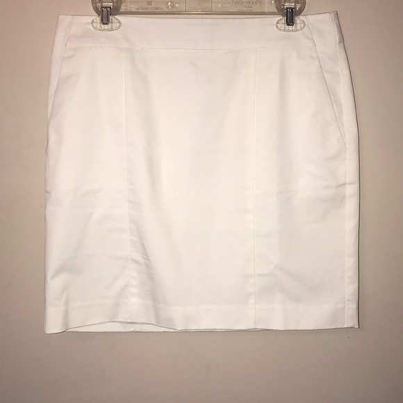 NWOT, Ann Taylor skirt. - Picture 1 of 8